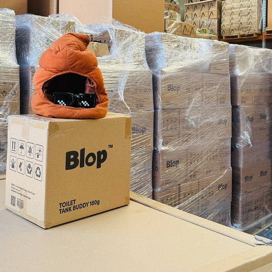 Behind the Scenes: Blop's Warehouse Upgrade (How We're Making Your Orders Better) - Blop.today