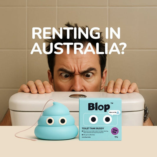 Renting in Australia? Here's Why Your Toilet Cistern Deserves a Little More Attention. - Blop.today